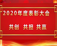 2020安的電子年度表彰大會順利召開 ---“共創(chuàng)，共擔，共贏”主題演講